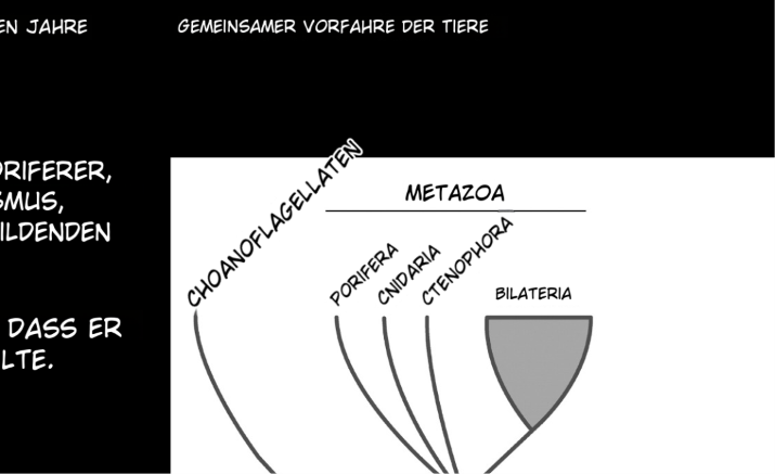 Oriented text example